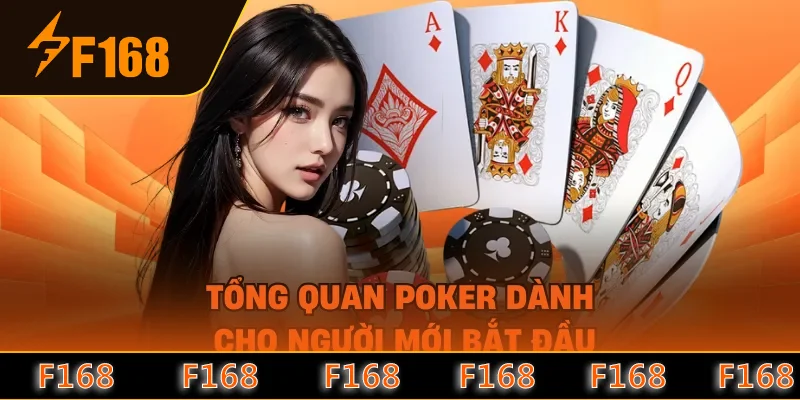 Tổng quan Poker dành cho người mới bắt đầu