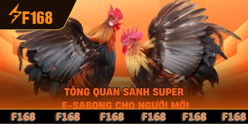 Tổng quan sảnh Super e-sabong cho người mới