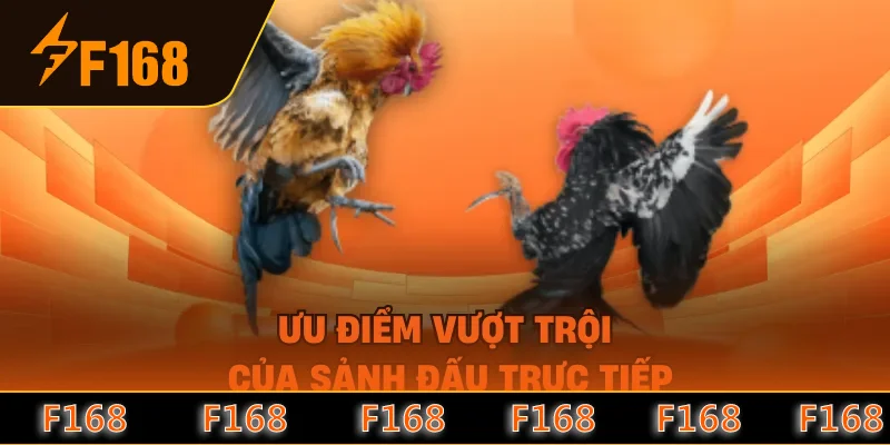 Ưu điểm vượt trội của sảnh đấu trực tiếp